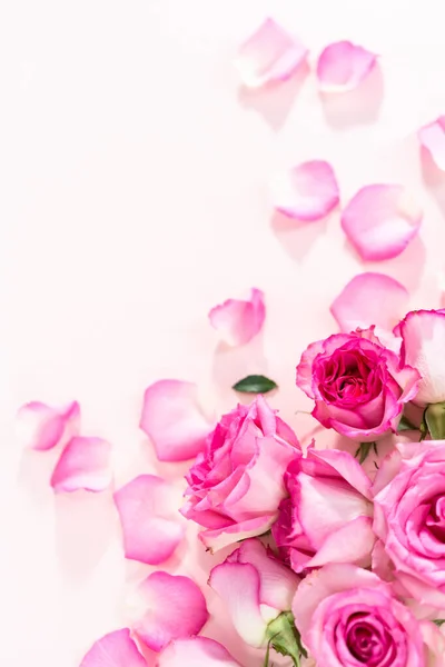 Flat Lay Pink Roses Rose Petals Pink Background — Stock Photo, Image