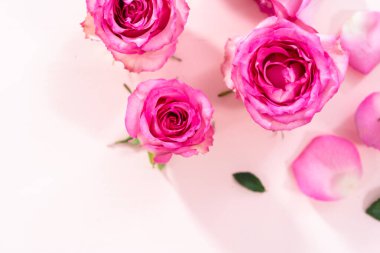 Düz yatıyordu. Pembe güller ve pembe arka planda gül yaprakları.