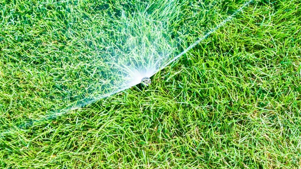 Irrigation Green Lawn Sprinkle System — Stock Photo, Image
