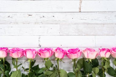 Düz yatıyordu. Boyanmış beyaz ahşap arka planı olan pembe güller..