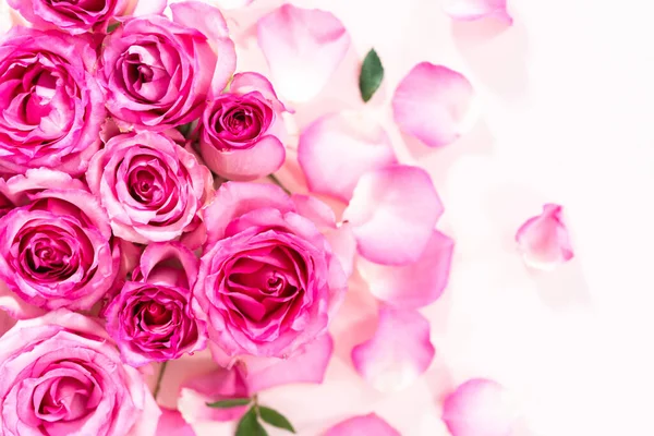 Flat Lay Pink Roses Rose Petals Pink Background — Stock Photo, Image