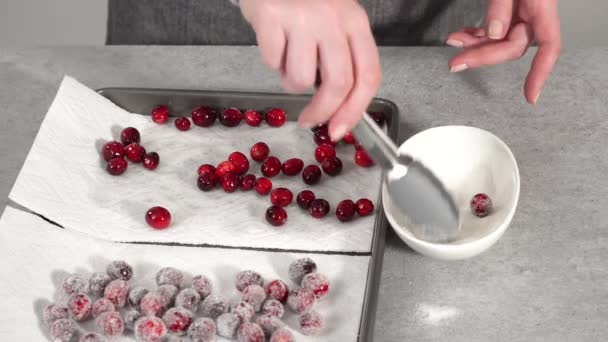 Making Chocolate Bundt Cake Chocolate Frosting Fresh Cranberries Rosemary Covered — Stock Video