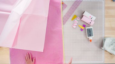 Düz yatıyordu. Adım adım. Kağıttan tek boynuzlu atlar yapmak ve boş tuvalet kağıdı ruloları yapmak..