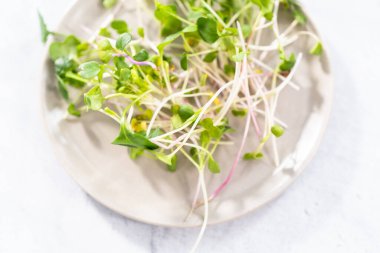 Düz yatıyordu. Bir kasede taze toplanmış turp mikroçerezleri..