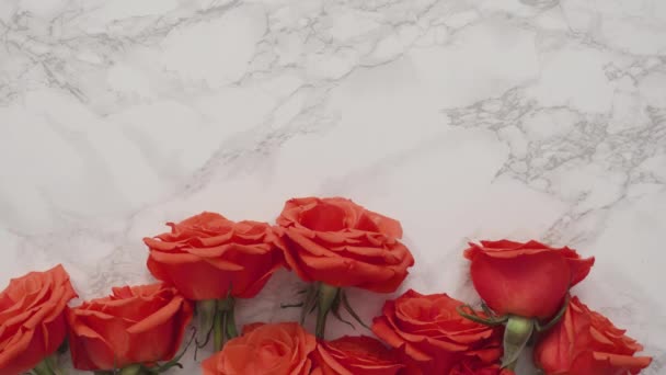 Флорист Заворачивает Красные Розы Красивый Букет — стоковое видео