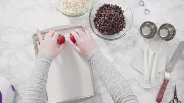 Fare Fragole Biologiche Immerse Nel Cioccolato — Video Stock