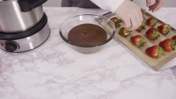 Biologische Aardbeien Gedoopt Chocolade — Stockvideo