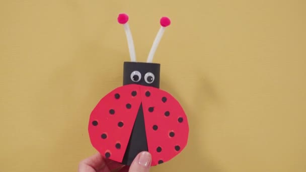 Making Different Bugs Out Empty Toilet Paper Rolls Homeschooling Art — Stock Video