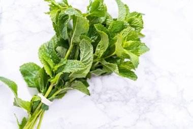 Mermer bir arka planda organik bahçeden taze nane..