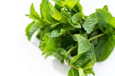 Beyaz arka planda organik bahçeden taze nane..