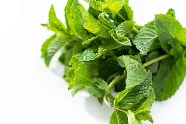 Beyaz arka planda organik bahçeden taze nane..