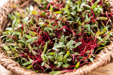 Mor saplı turp mikroçerezleri ve sepette yeşil yapraklar.