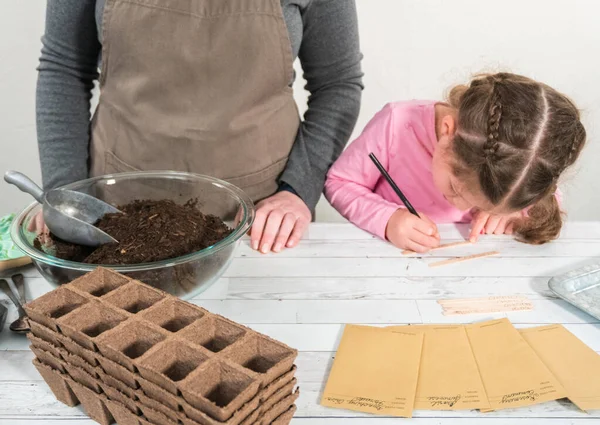 Μικρό Κορίτσι Φυτεύει Σπόρους Γλάστρες Τύρφης Για Ξεκινήσει Ένα Εσωτερικό — Φωτογραφία Αρχείου