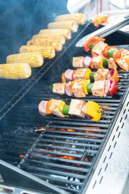 Baharatlı sosla marine edilmiş sebzeli vejetaryen tofu kebabı..