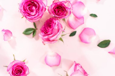 Düz yatıyordu. Pembe güller ve pembe arka planda gül yaprakları.