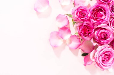 Düz yatıyordu. Pembe güller ve pembe arka planda gül yaprakları.