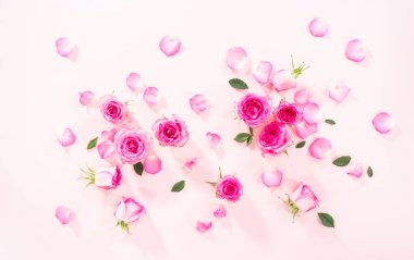 Düz yatıyordu. Pembe güller ve pembe arka planda gül yaprakları.