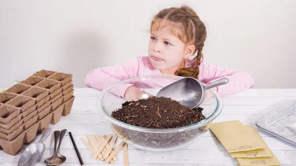 Kleines Mädchen Hilft Beim Pflanzen Von Kräutersamen Kleine Gefäße Für — Stockfoto