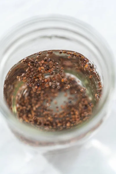 Día Crecimiento Brotes Orgánicos Frasco Albañil Con Tapa Brotando Mostrador — Foto de Stock