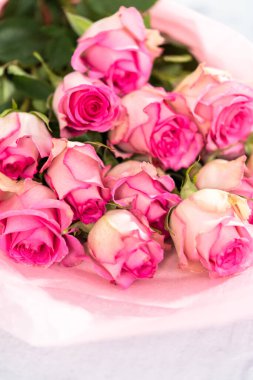 Beyaz arka planda taze pembe gülleri kapat.
