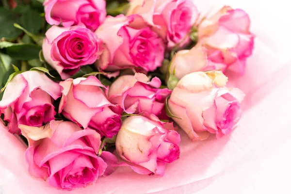 Close Fresh Pink Roses White Background — Stock Photo, Image