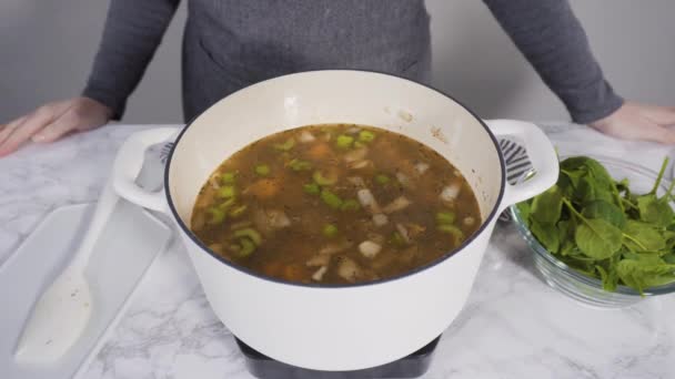 Cocinar Sopa Vegetariana Frijol Blanco Horno Holandés Hierro Fundido — Vídeos de Stock