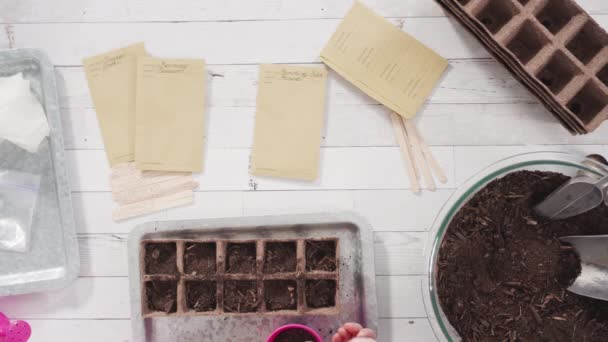 Niña Plantando Semillas Macetas Turba Para Iniciar Huerto Interior — Vídeos de Stock