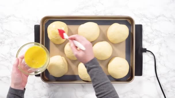 Applying Egg Making Buns Kitchen — Stock Video