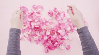 Beyaz boyalı arka planda pembe gül yaprakları.