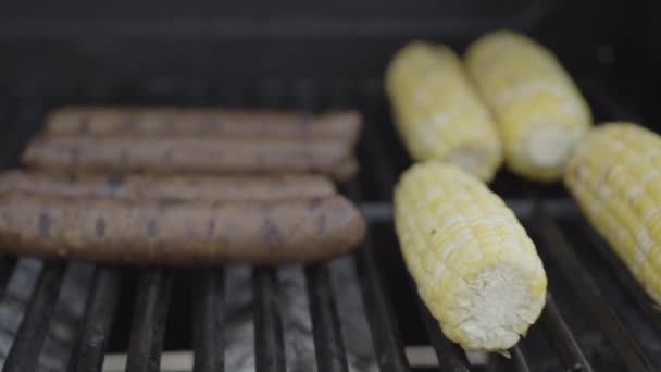 Hot Dogs und Bratwurst — Stockvideo