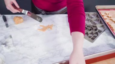 Dev Noel kurabiyeleriyle şekerli kurabiyeleri kesiyorum..