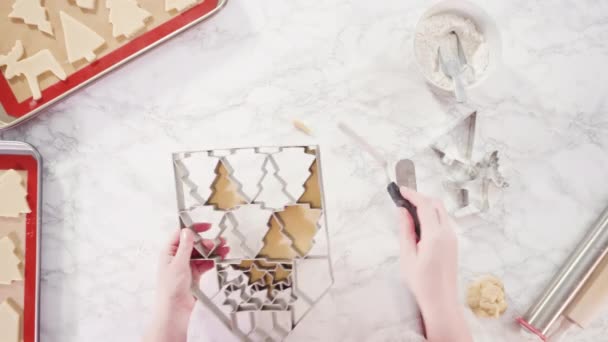 巨大なクリスマスクッキーカッターで砂糖のクッキーをカット — ストック動画