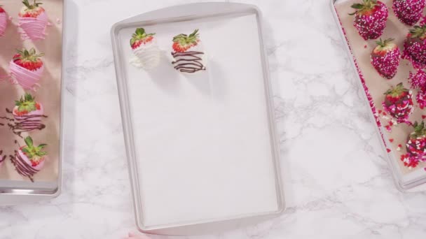 在烘烤单上摆放有机草莓 使巧克力浸渍草莓 — 图库视频影像