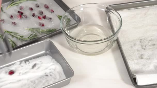 Cobrindo Cranberries Frescos Alecrim Açúcar Para Decorar Bolo Pacote Chocolate — Vídeo de Stock
