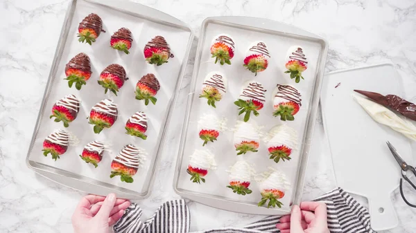 Ett Platt Ligg Steg För Steg Beredning Vita Och Mörka — Stockfoto