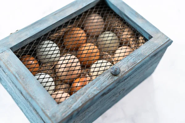 用老式蛋盒养殖新鲜的有机鸡蛋 — 图库照片