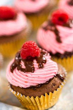 Çikolatalı ahududu kekleri çikolatalı ganache serpiştirilmiş ve üzeri ahududulu..