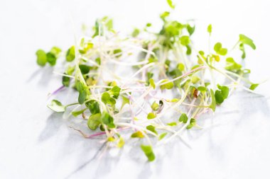 Düz yatıyordu. Bir kasede taze toplanmış turp mikroçerezleri..