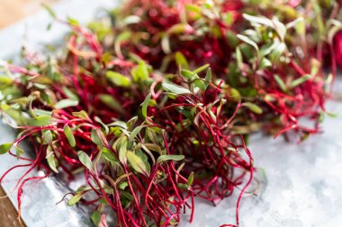 Mor saplı turp mikroçim ve metal tepside yeşil yapraklar..