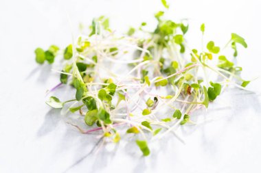 Düz yatıyordu. Bir kasede taze toplanmış turp mikroçerezleri..