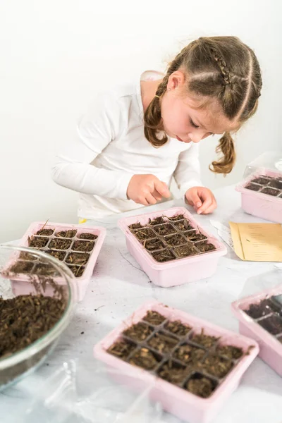 Bambina Piantare Semi Vassoio Antipasto Semi Indoor Durante Suo Homeschooling — Foto Stock