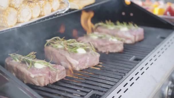 Grillning Lax Kycklingbröst Grönsaksspett Och Vegetariska Hamburgare Utegrill — Stockvideo