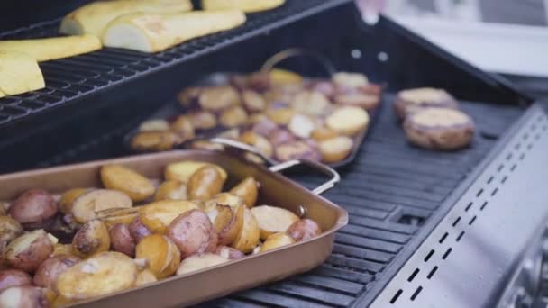 Asar Salmón Atlántico Pechuga Pollo Pinchos Verduras Hamburguesas Vegetarianas Una — Vídeos de Stock