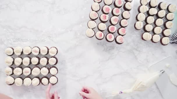 Mini Cupcakes Chocolate Con Glaseado Crema Mantequilla Italiana Decorado Con — Vídeo de stock