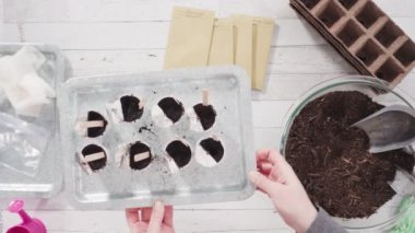 Tohum yayıcıya toprak ekmeye yardım eden küçük kız..