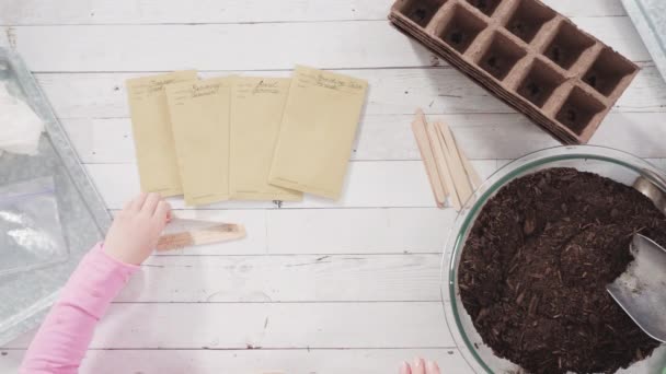 Niña Ayudando Plantar Semillas Propagador Semillas Con Tierra — Vídeo de stock