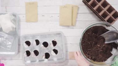 Tohum yayıcıya toprak ekmeye yardım eden küçük kız..