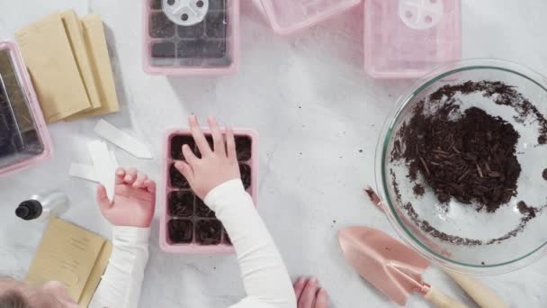 Niña Ayudando Plantar Semillas Propagador Semillas Con Tierra — Vídeos de Stock