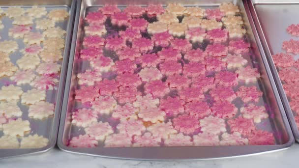 Βήμα Βήμα Σκόνη Νιφάδες Σοκολάτας Glittery Σκόνη Τροφίμων — Αρχείο Βίντεο