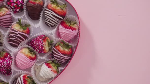 Schritt Für Schritt Schokolade Erdbeeren Mit Beträufelter Schokolade Garnieren — Stockvideo